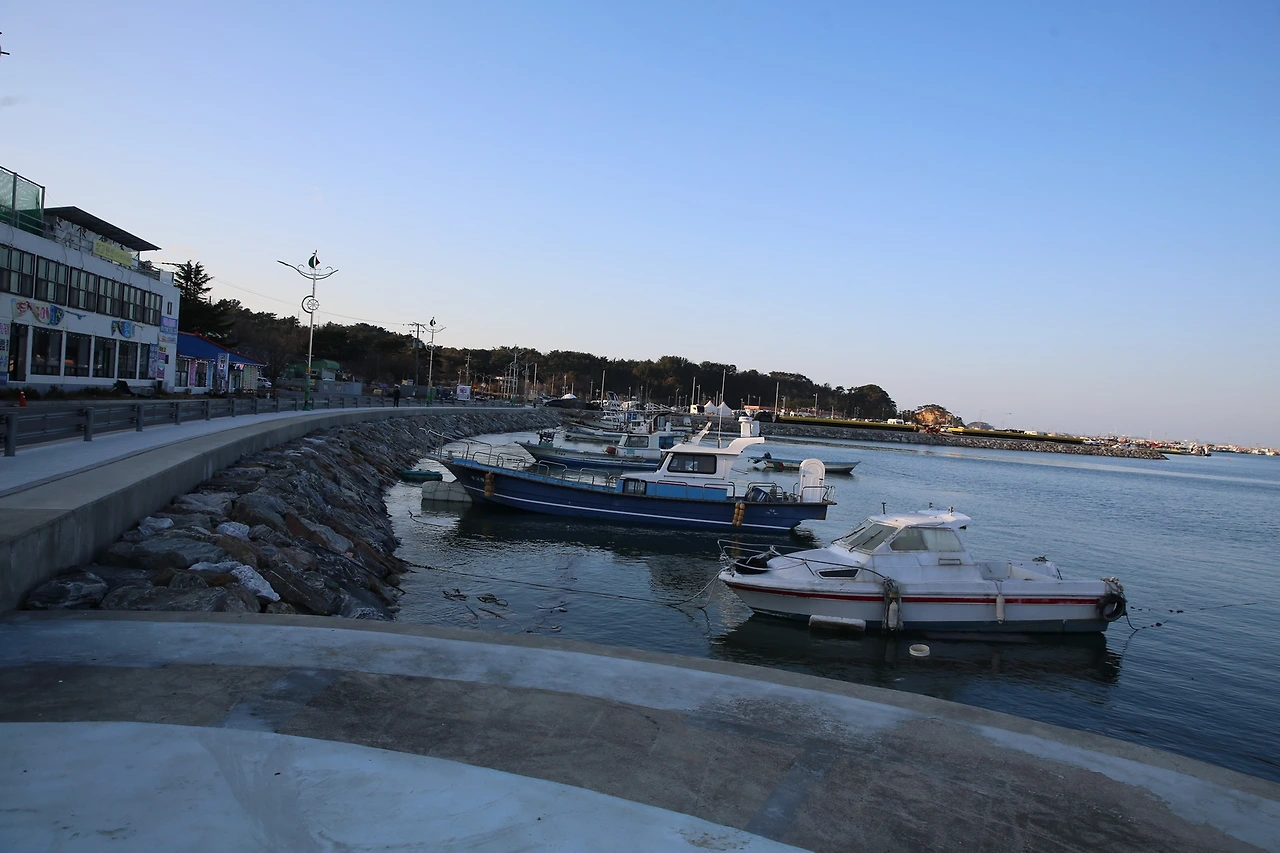 MG0A9601_новый размер.JPG