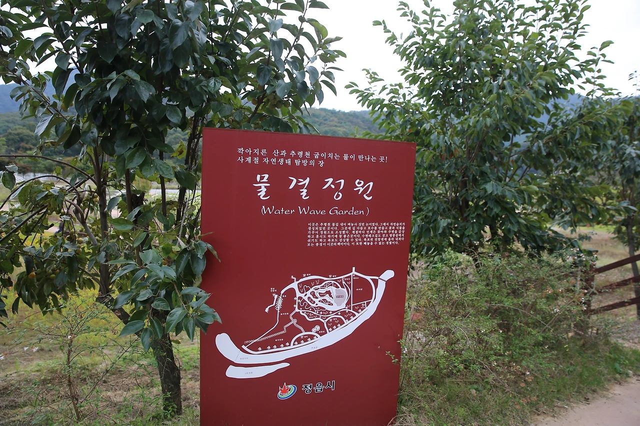 MG0A4751_новый размер.JPG