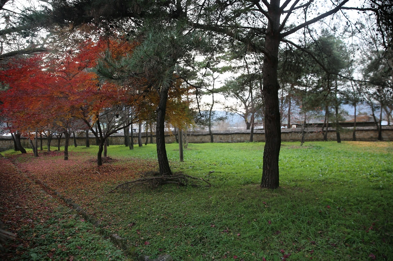 MG0A1828_новый размер.JPG