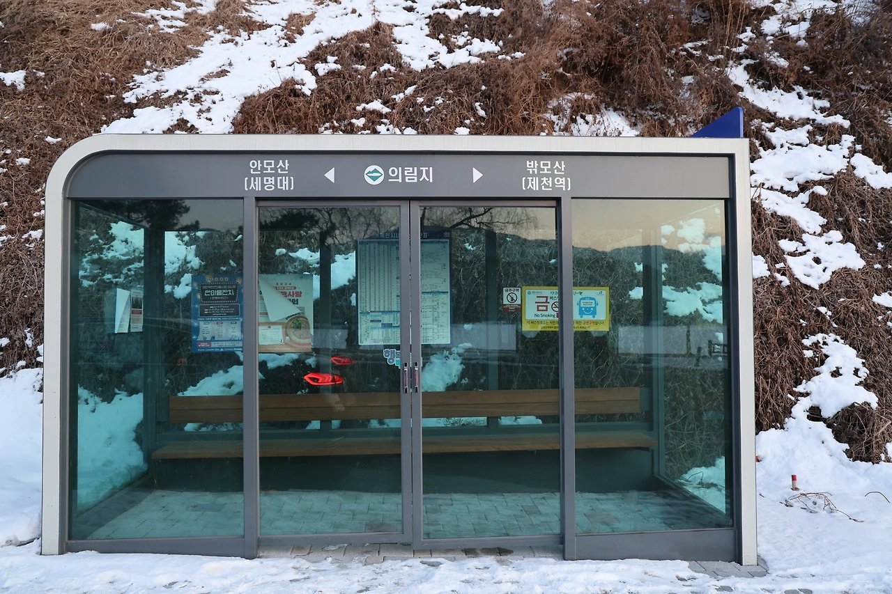 0R5A8243_новый размер.JPG