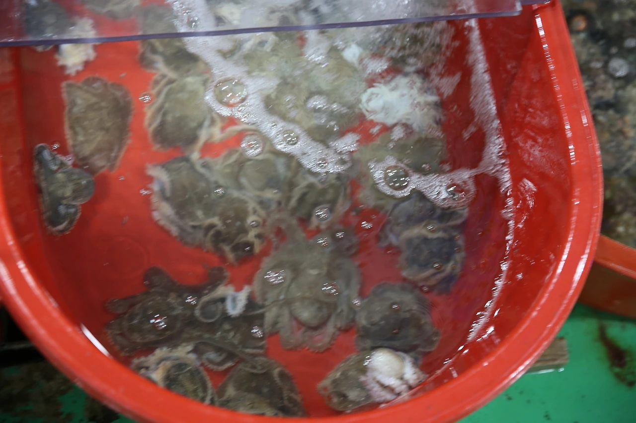 MG0A0722_новый размер.JPG