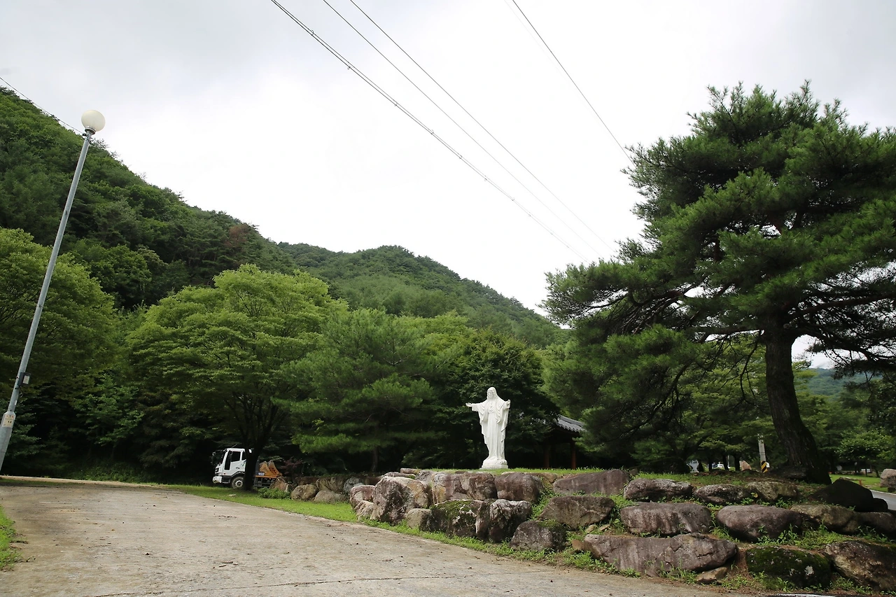 MG0A6570_новый размер.JPG