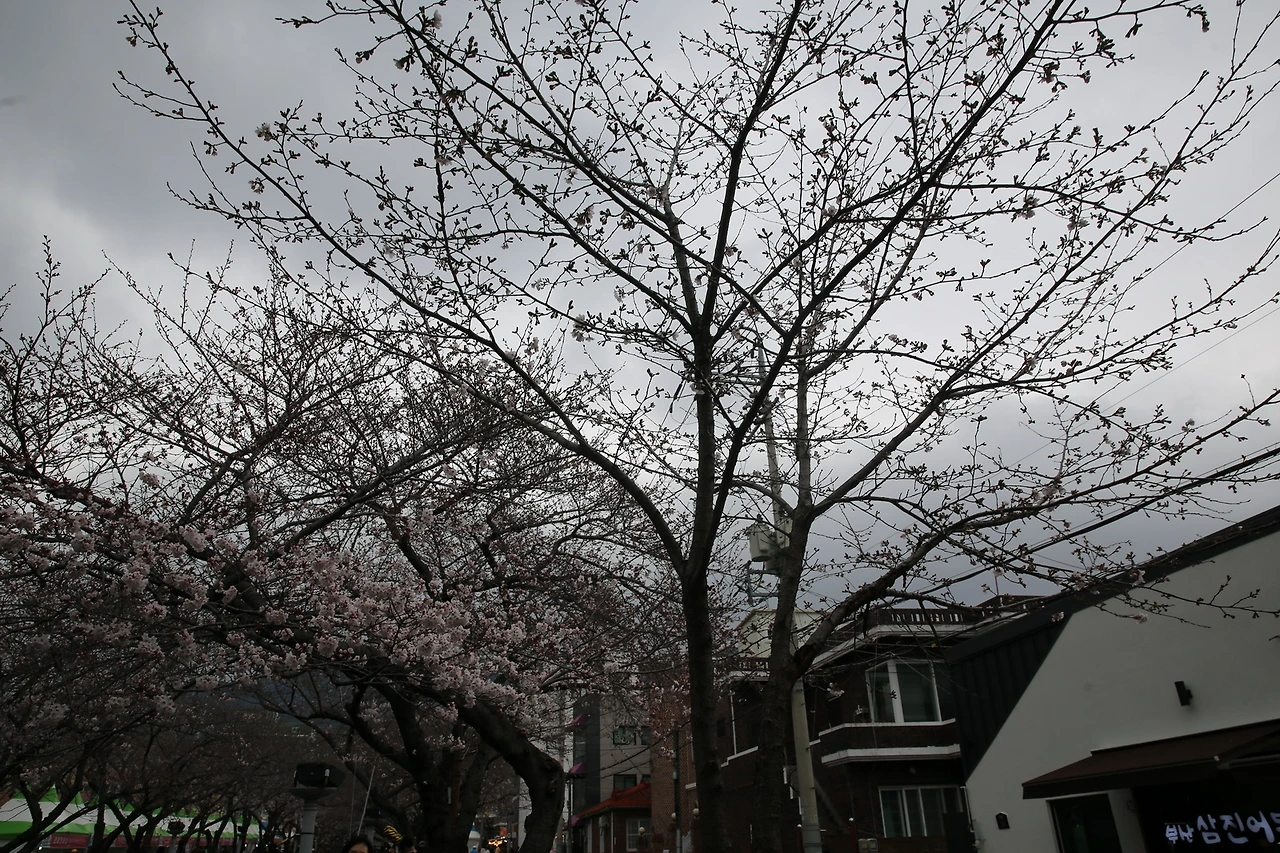 MG0A6186_новый размер.JPG