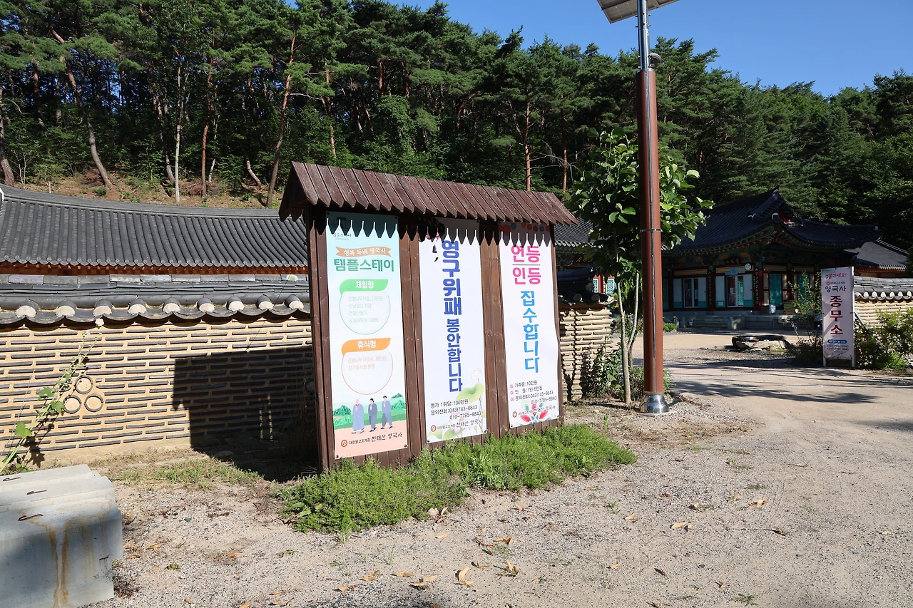 0R5A8066_новый размер.JPG