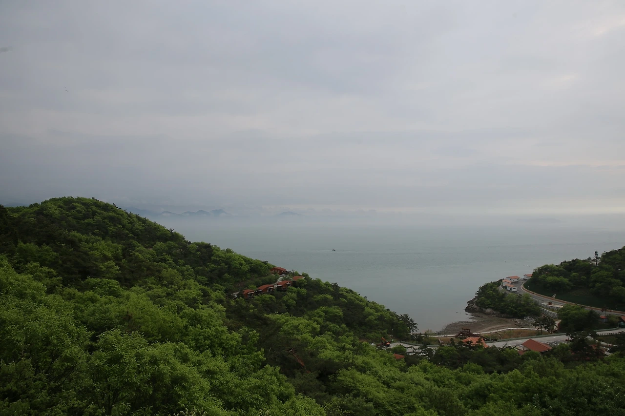 MG0A0660_новый размер.JPG