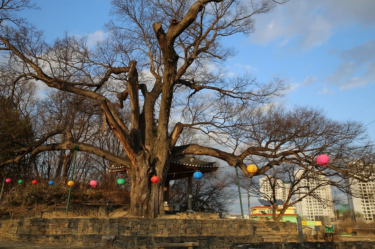 MG0A2026_новый размер.JPG