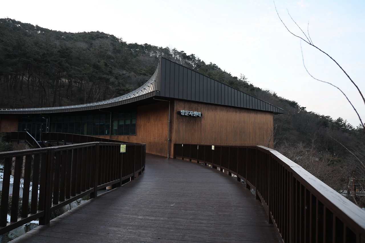 0R5A0038_новый размер.JPG