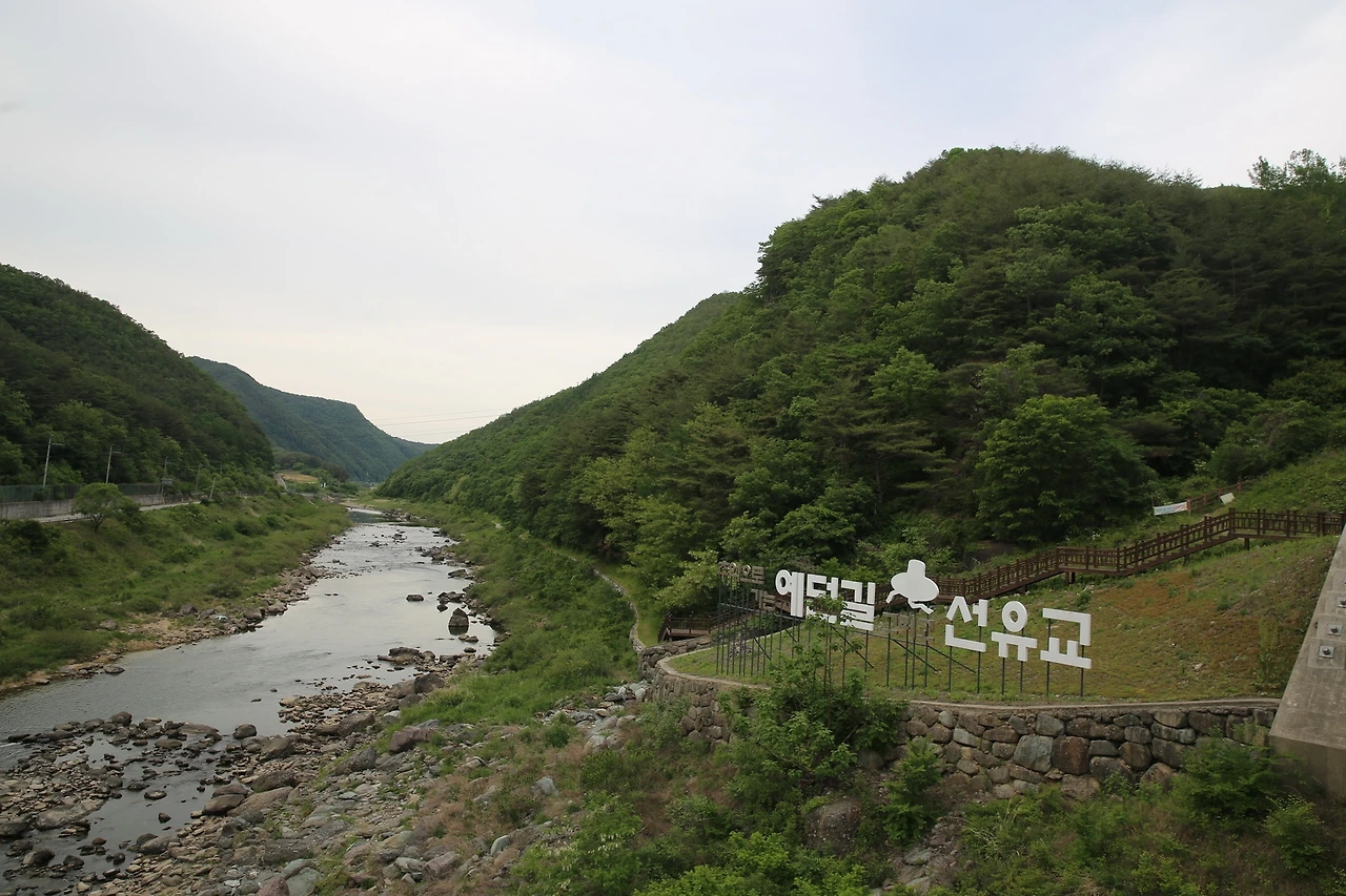 MG0A9920_новый размер.JPG