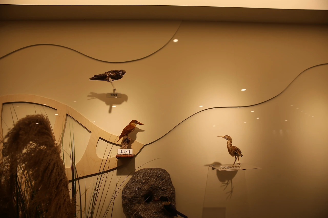 MG0A3563_новый размер.JPG