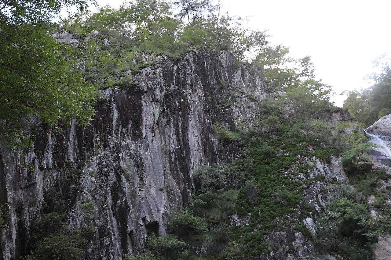 0R5A2479_новый размер.JPG