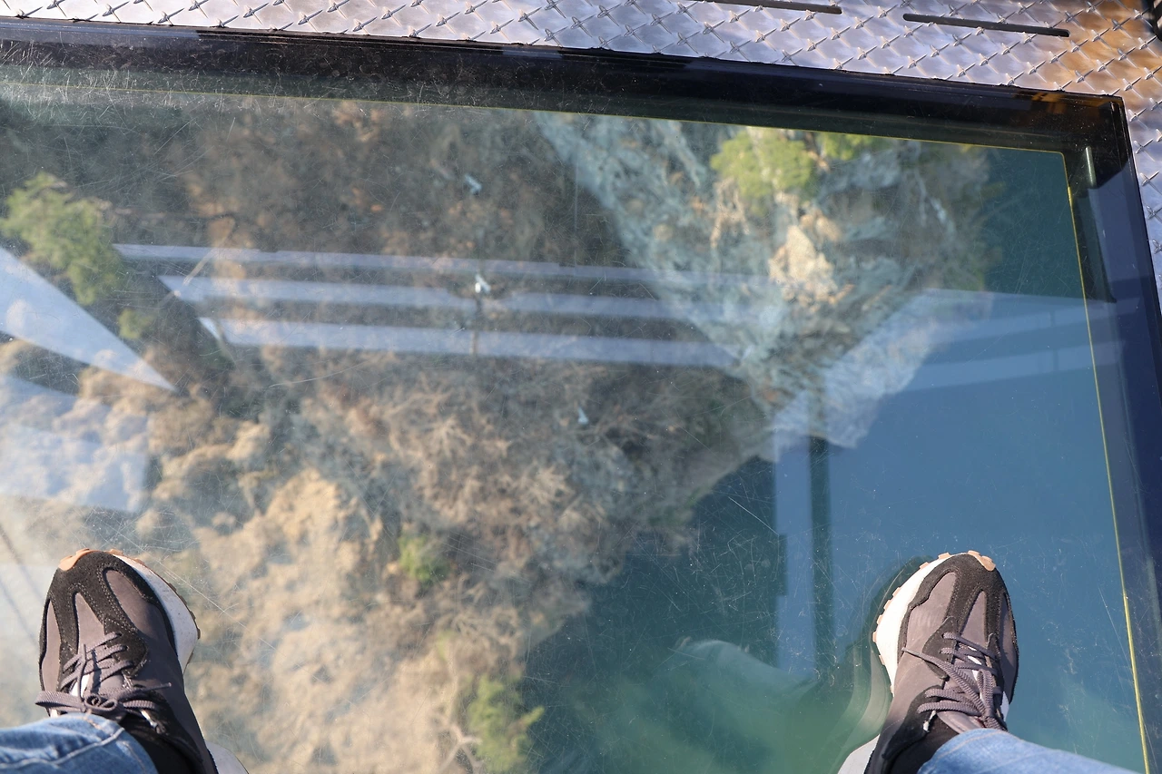 0R5A5556_новый размер.JPG