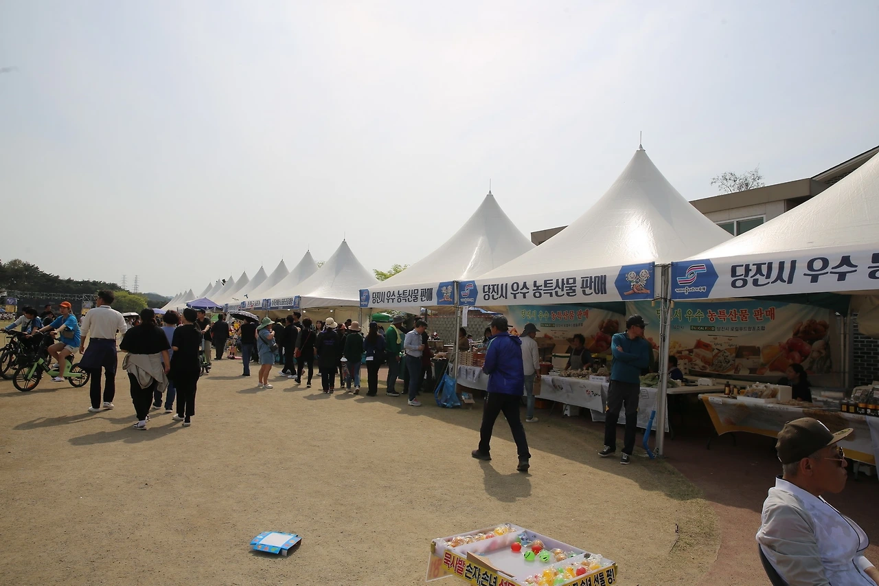 MG0A9377_новый размер.JPG