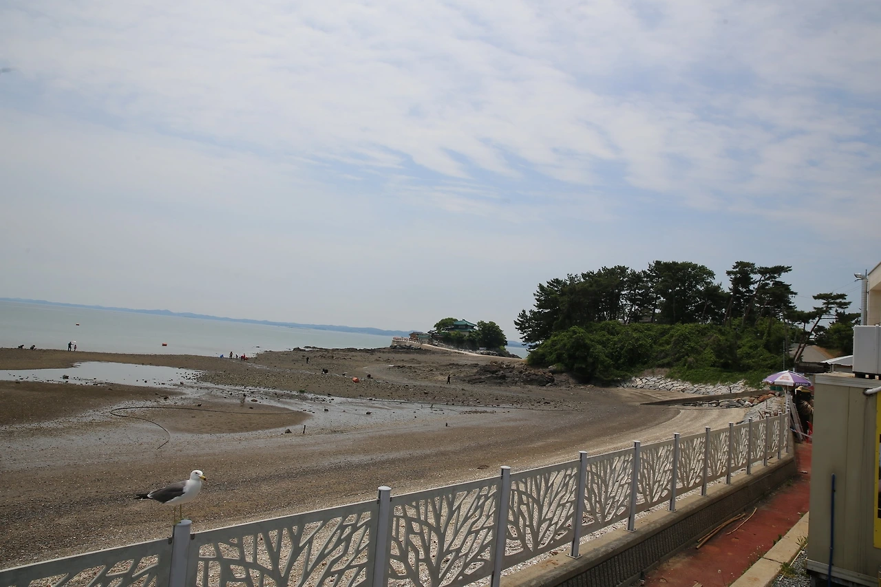 MG0A6218_новый размер.JPG