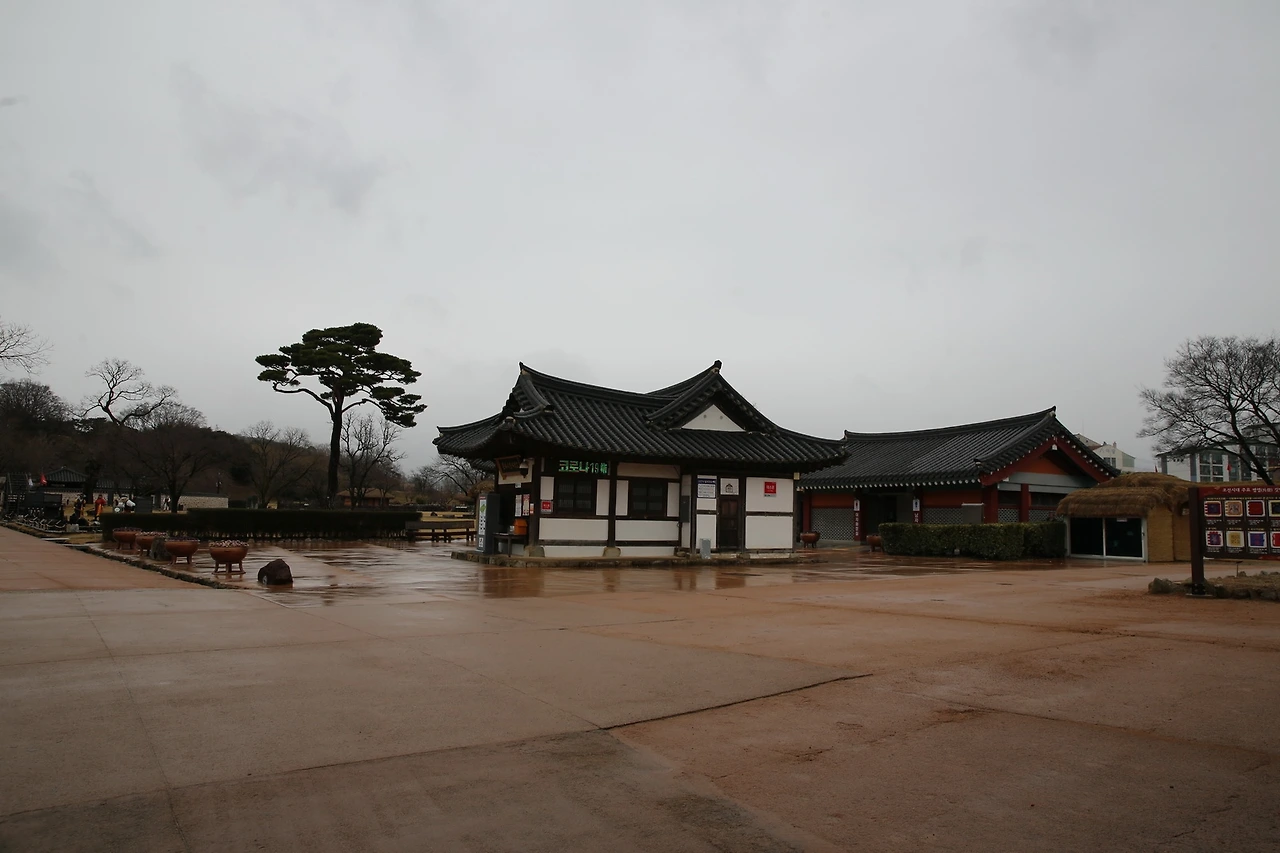 MG0A0602_новый размер.JPG