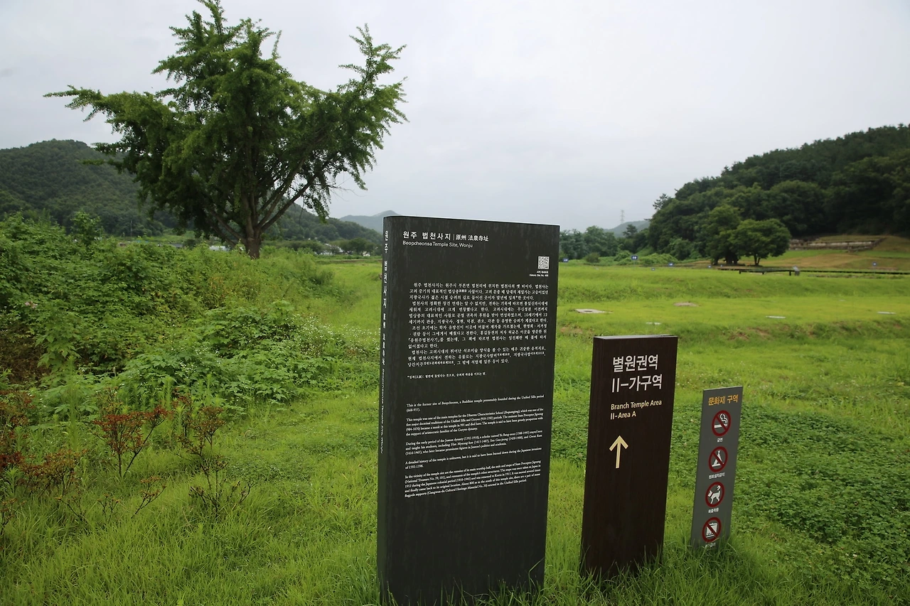 MG0A6023_новый размер.JPG