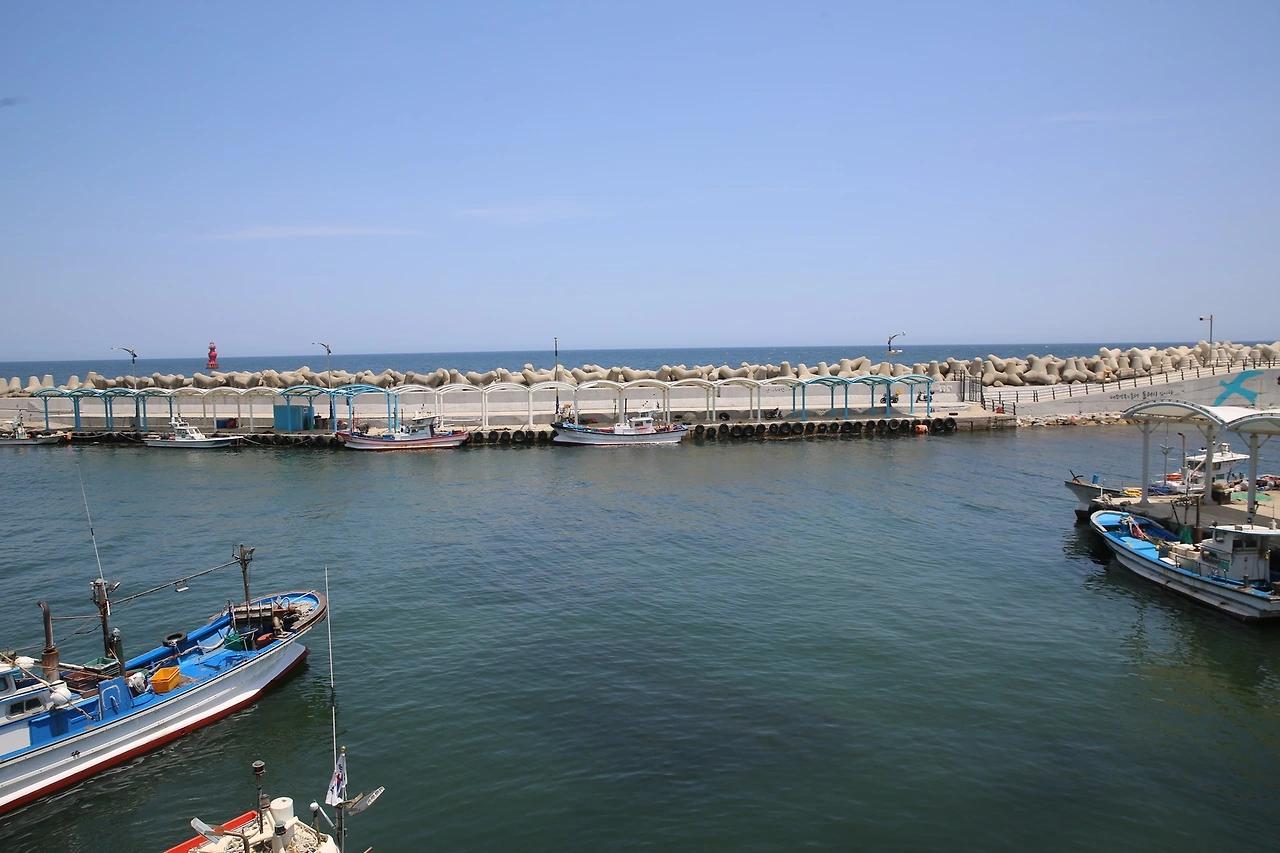 MG0A0278_новый размер.JPG