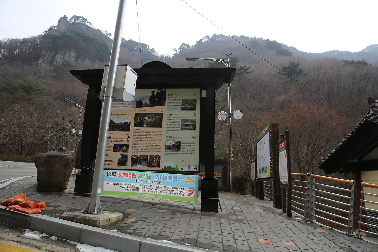 MG0A6431_новый размер.JPG