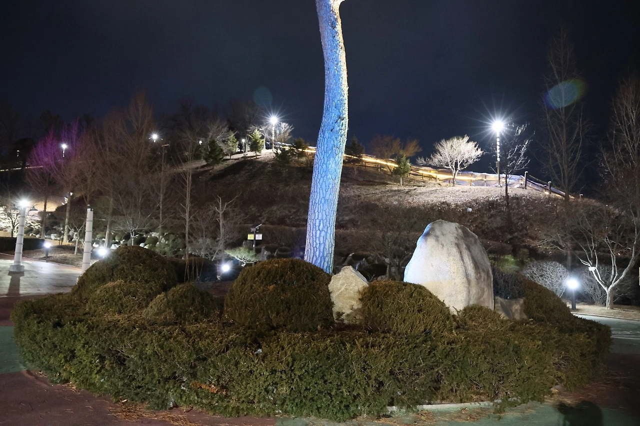 0R5A8010_новый размер.JPG