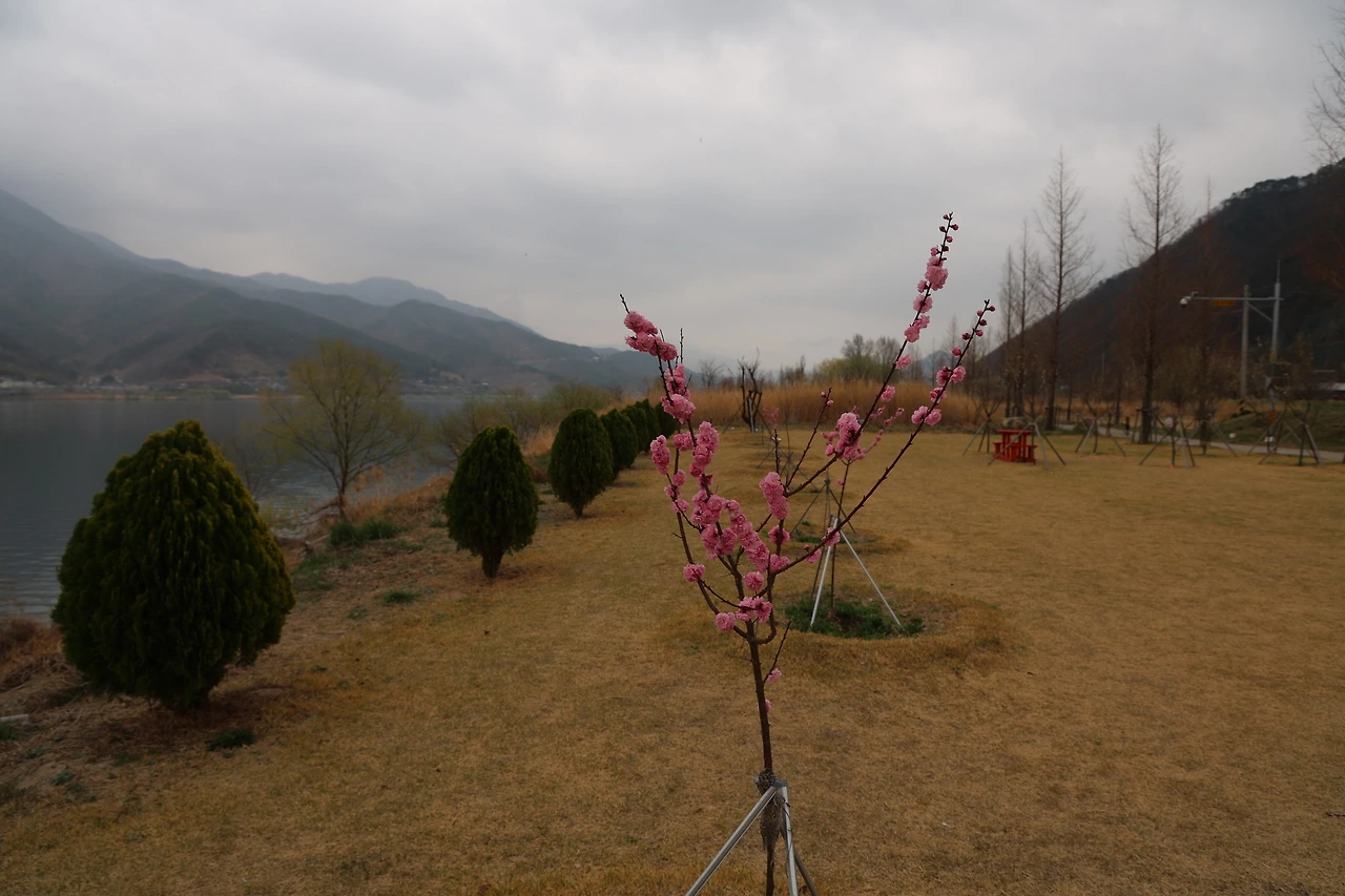 0R5A4427_новый размер.JPG