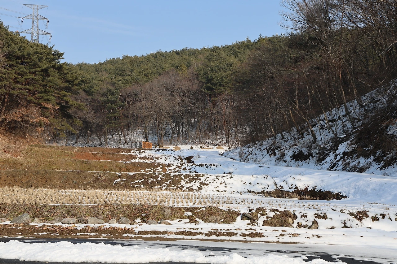 0R5A7599_новый размер.JPG