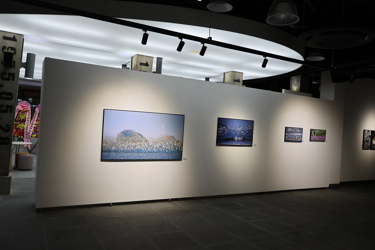 0R5A6213_новый размер.JPG