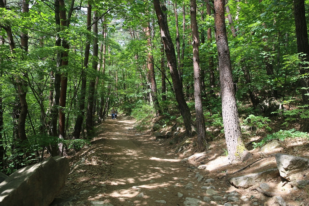 MG0A0723_новый размер.JPG