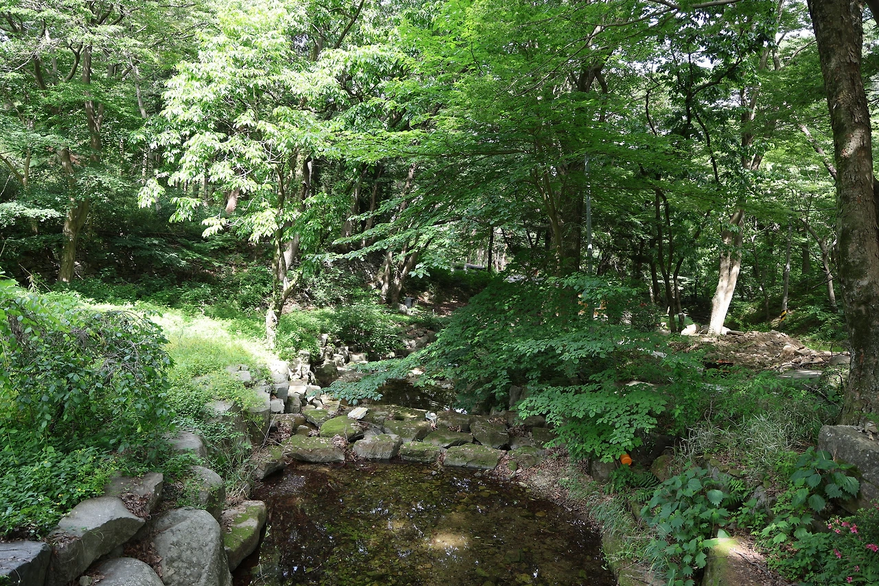 0R5A4112_новый размер.JPG