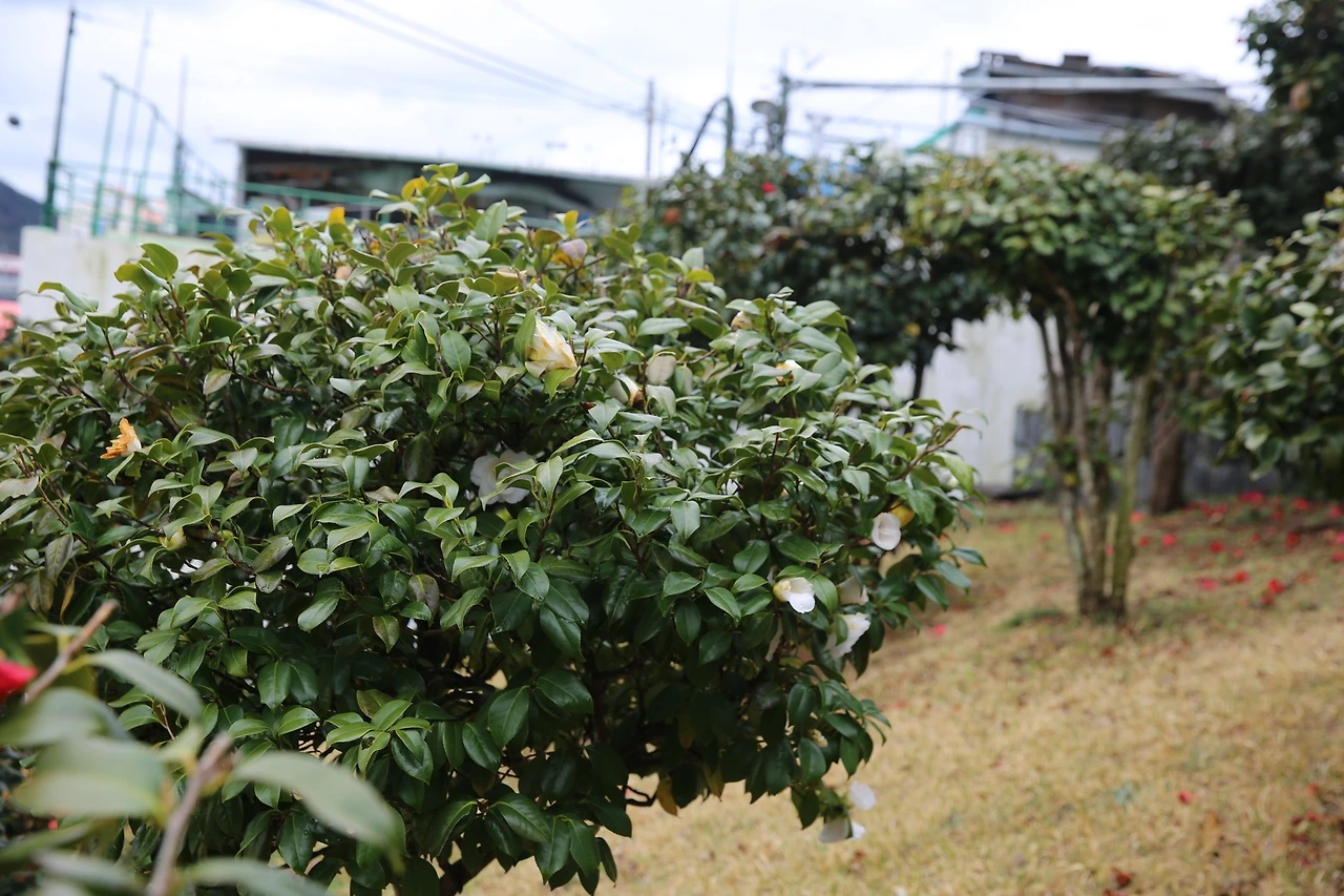 MG0A6729_новый размер.JPG