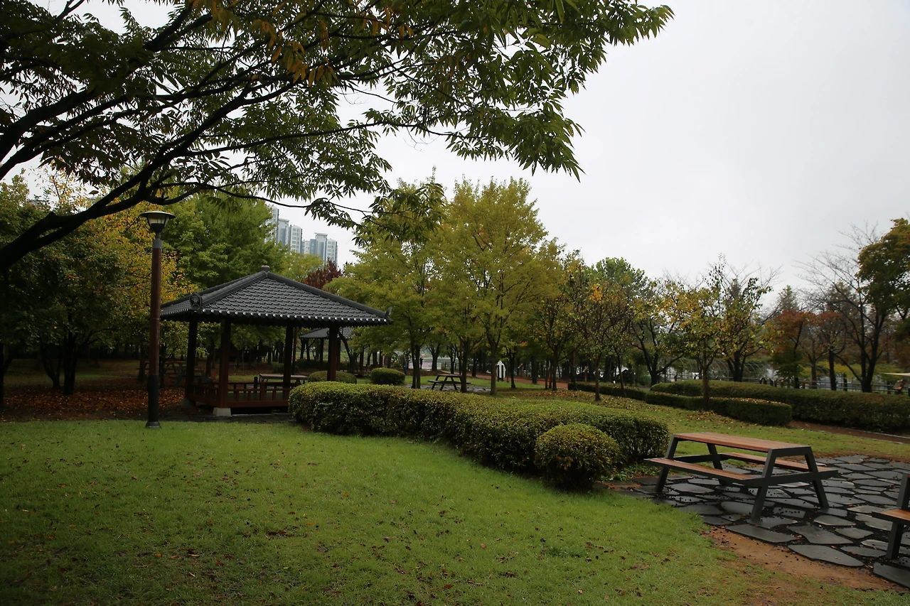 MG0A5209_новый размер.JPG