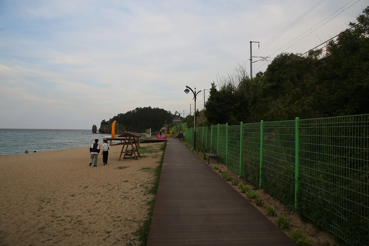 MG0A0586_новый размер.JPG