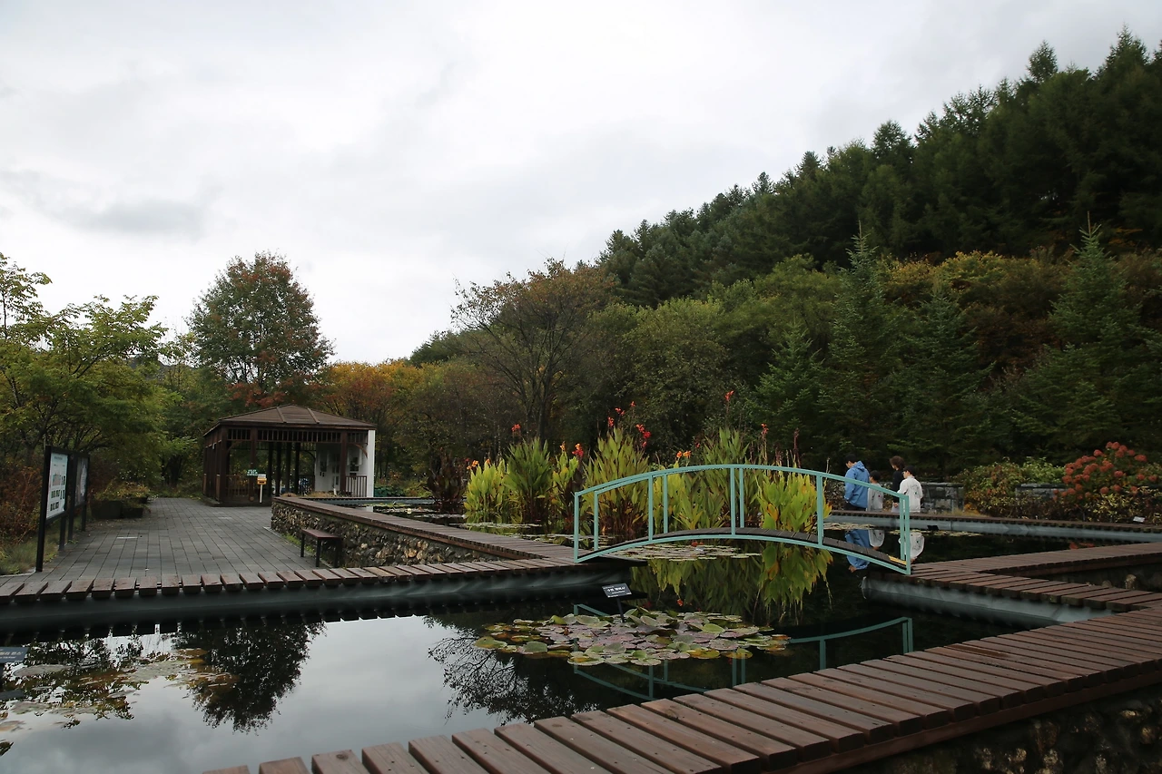 MG0A6244_новый размер.JPG