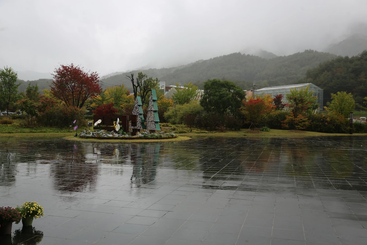 MG0A6022_новый размер.JPG