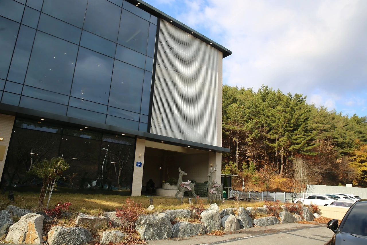 MG0A2557_новый размер.JPG