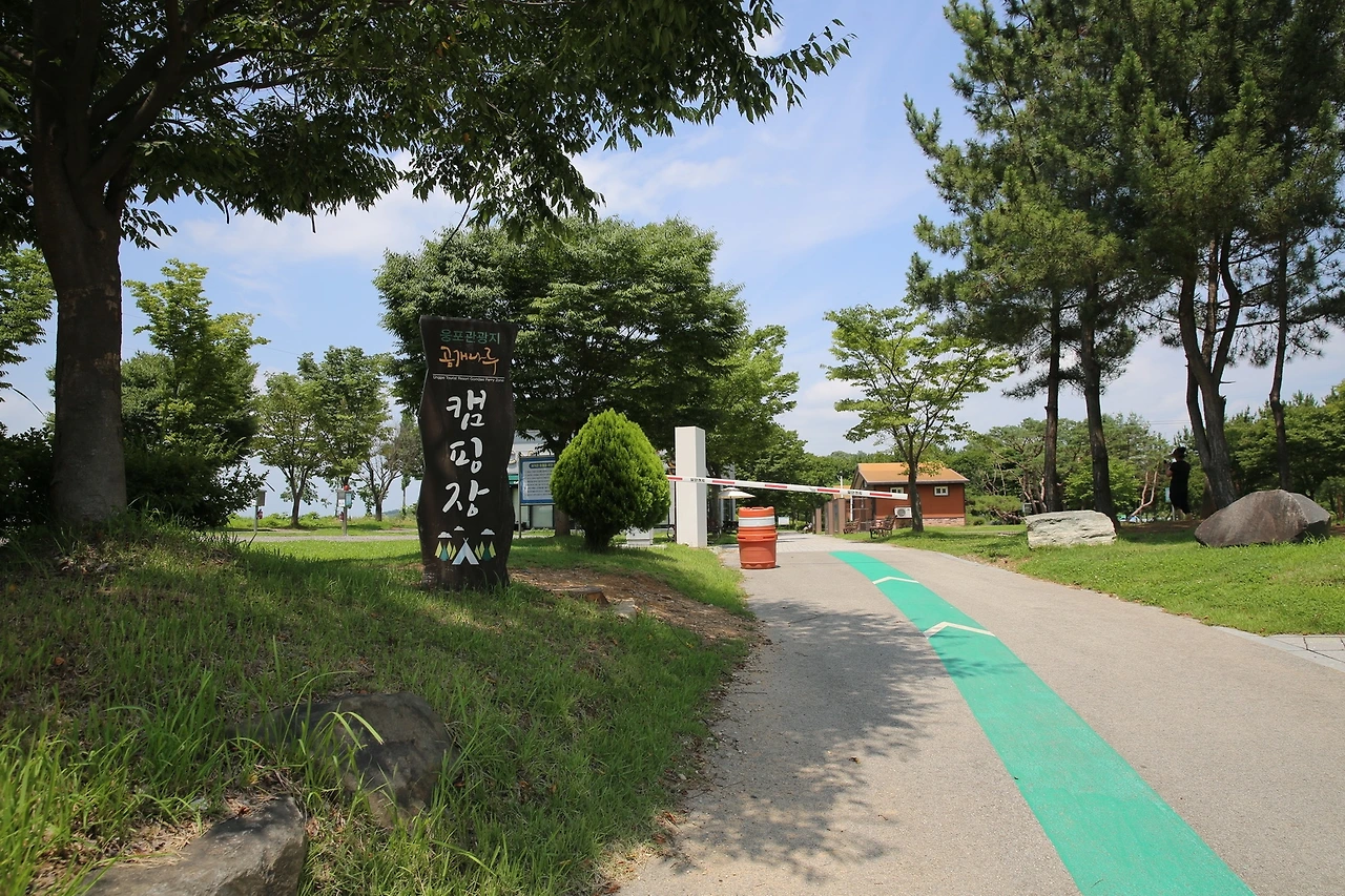 MG0A4500_новый размер.JPG