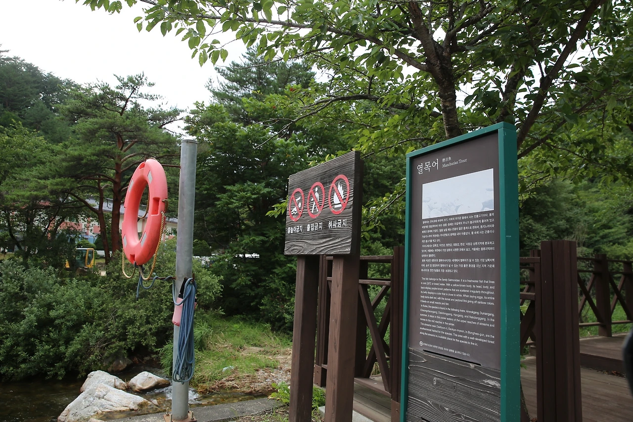 MG0A5015_новый размер.JPG