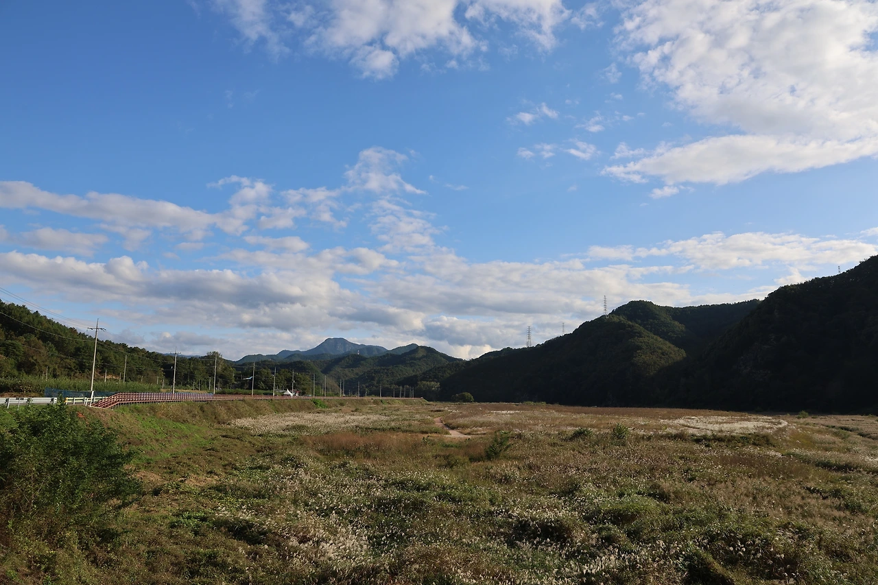 0R5A0949_новый размер.JPG