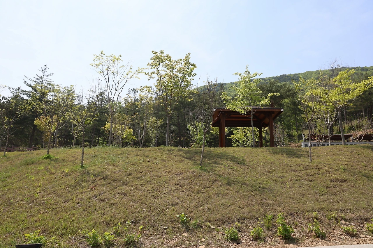 0R5A0403_новый размер.JPG