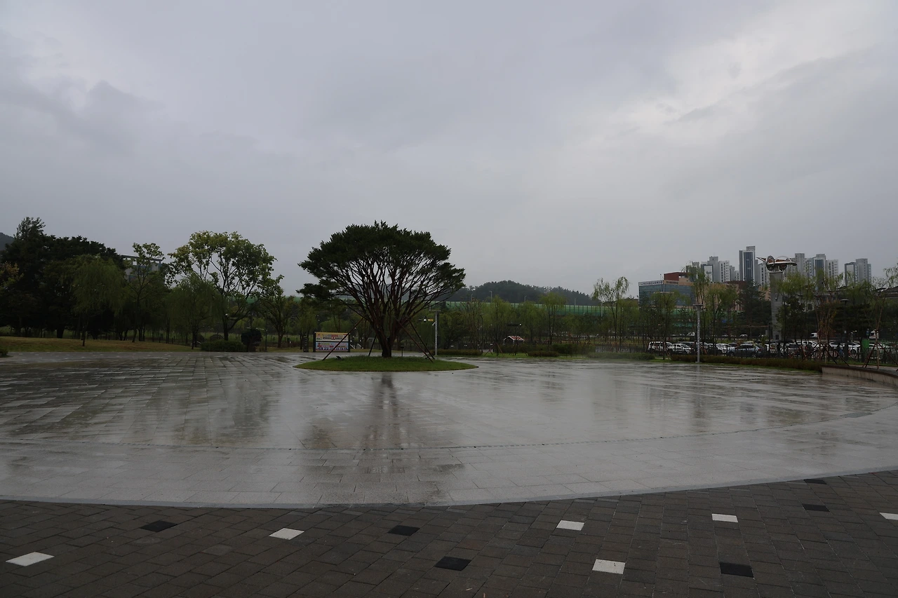 0R5A8075_новый размер.JPG