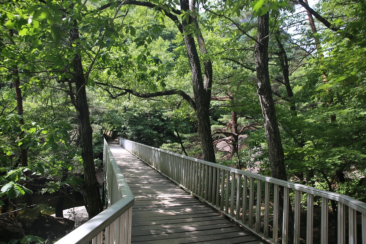 MG0A0732_новый размер.JPG