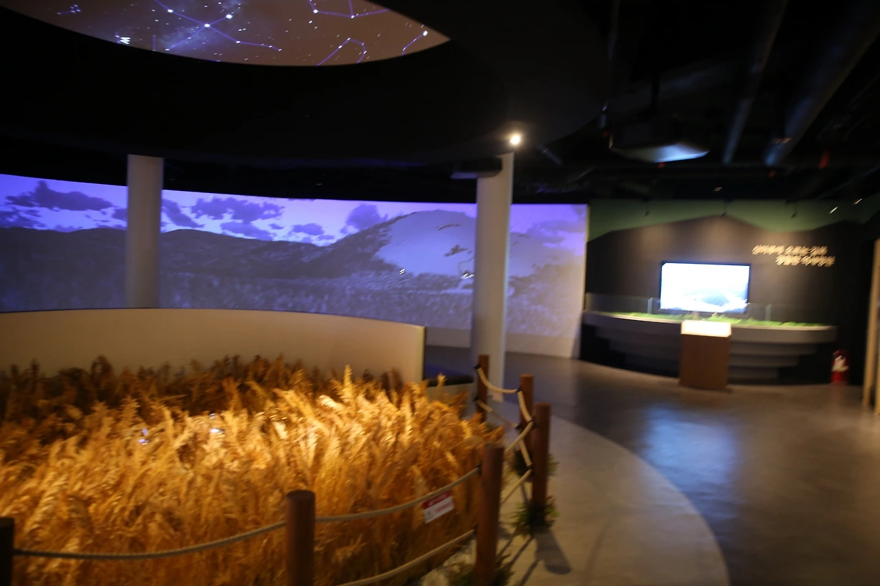 MG0A4430_новый размер.JPG