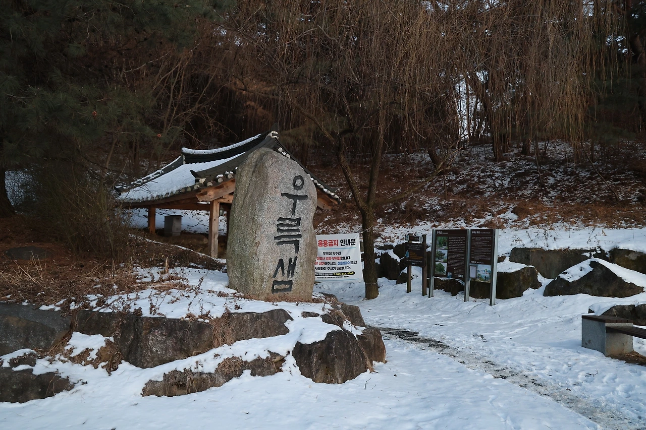 0R5A8260_новый размер.JPG