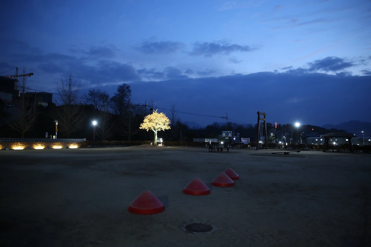 MG0A0784_новый размер.JPG