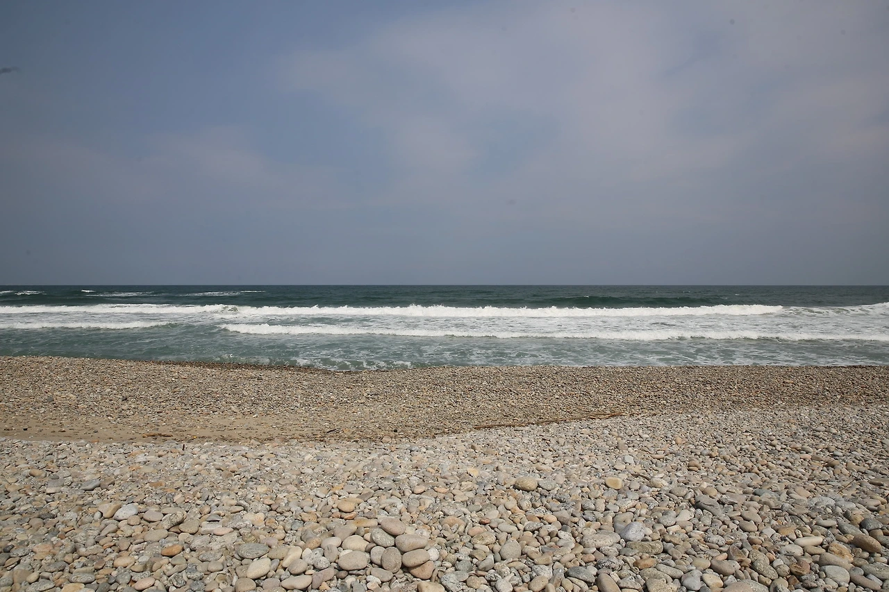 MG0A5392_новый размер.JPG