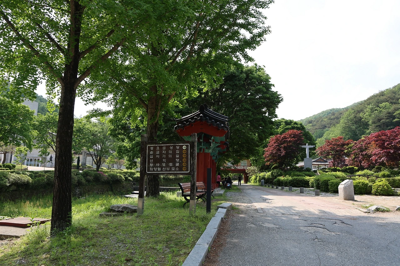 0R5A1475_новый размер.JPG