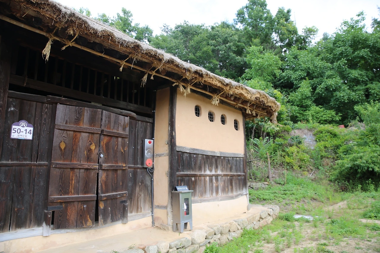 MG0A0462_новый размер.JPG