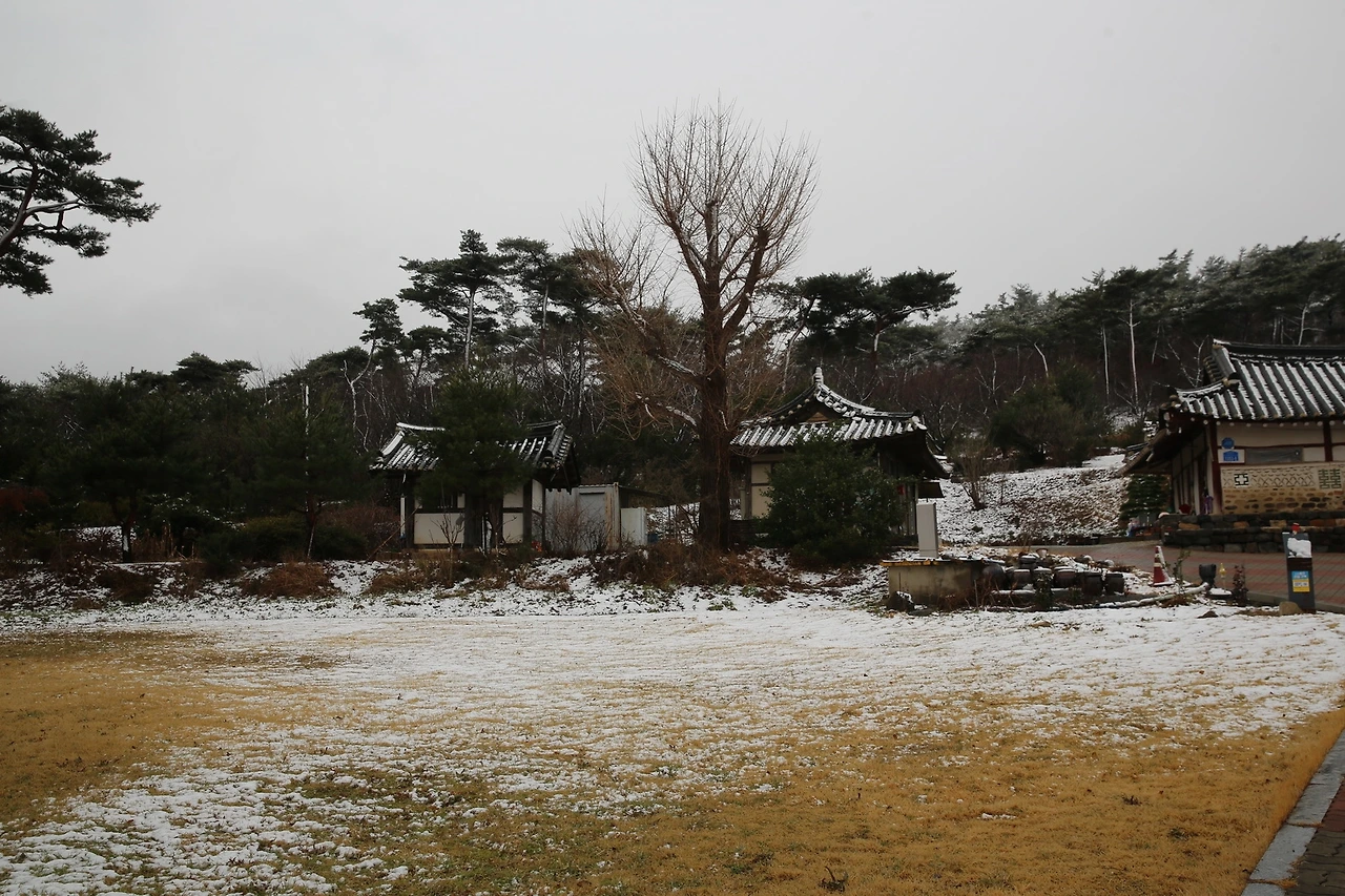 MG0A0642_новый размер.JPG