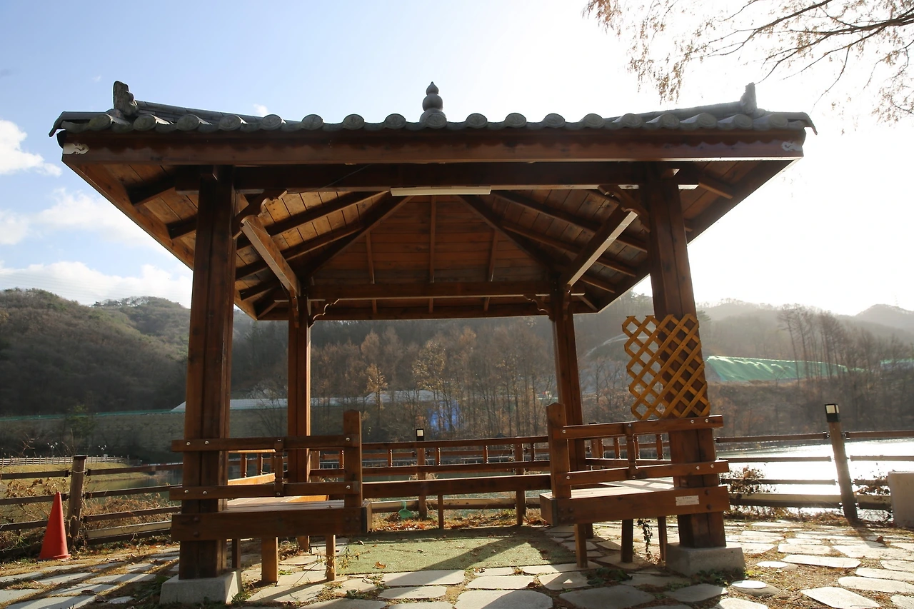 MG0A3666_новый размер.JPG