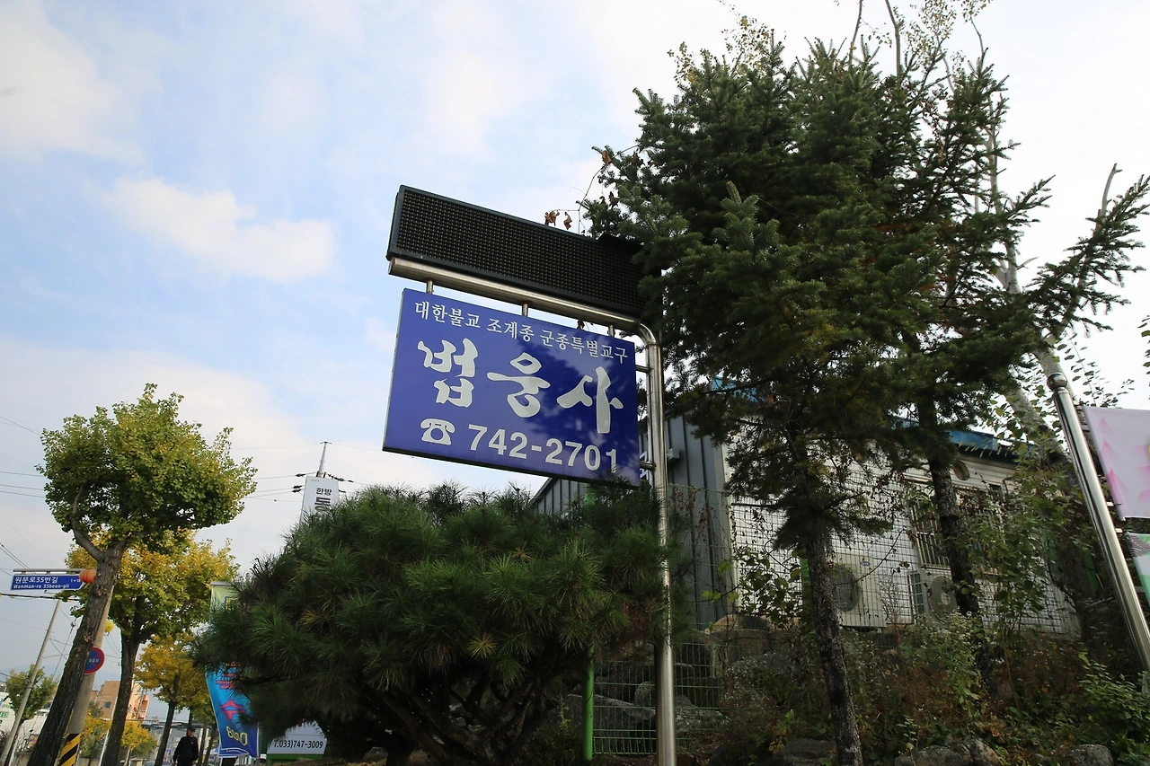 MG0A7589_новый размер.JPG