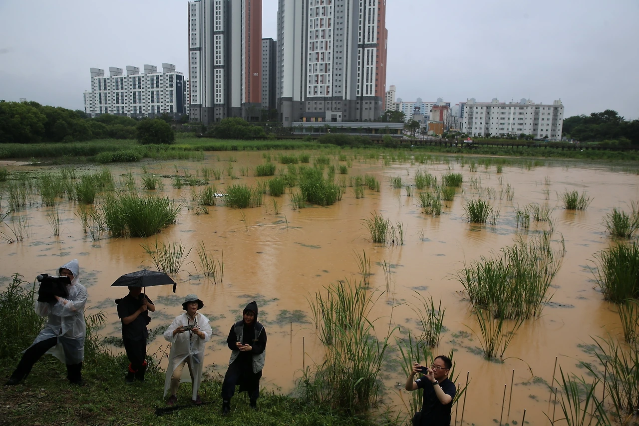 MG0A2511_новый размер.JPG