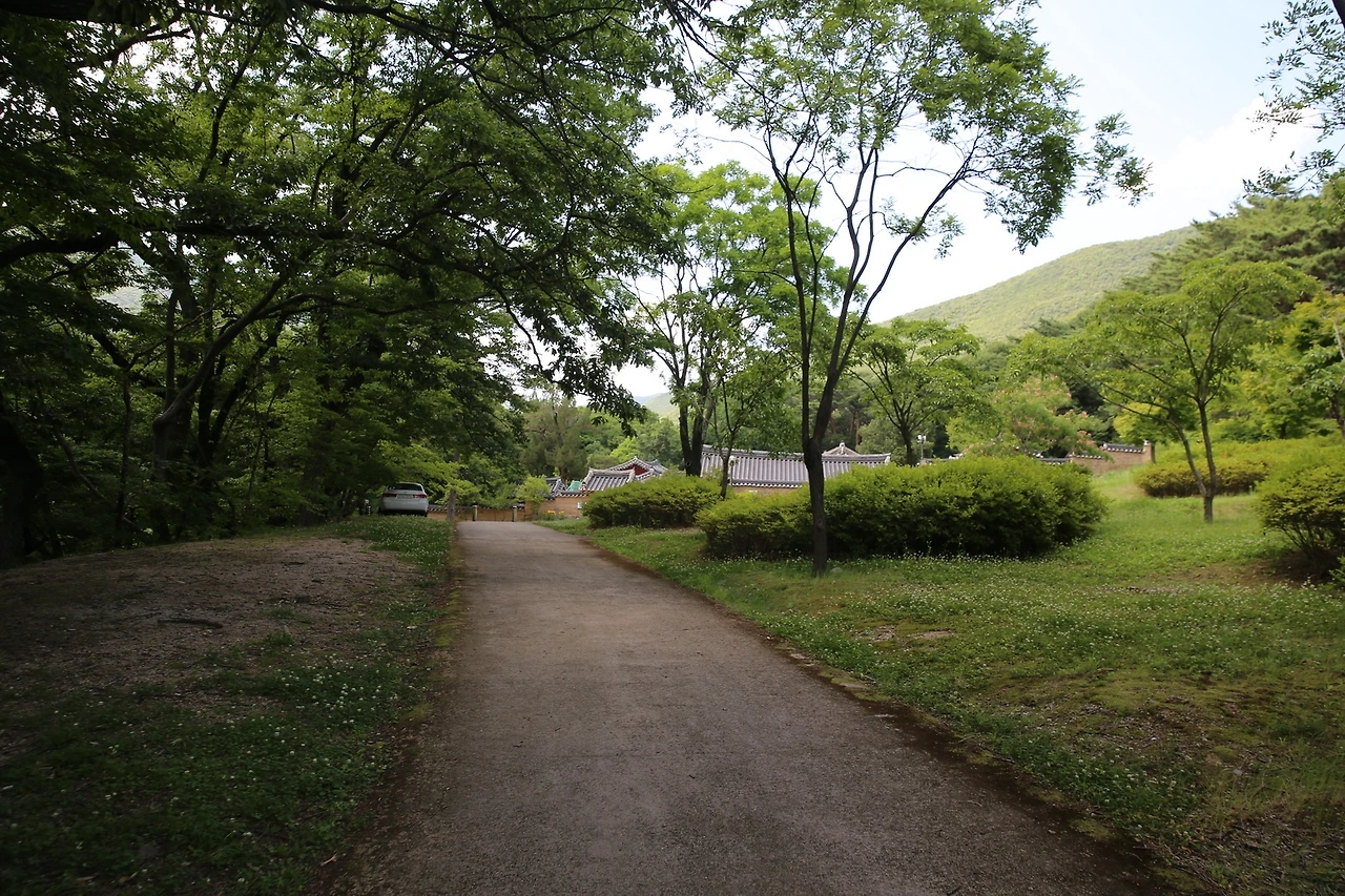 MG0A8193_новый размер.JPG